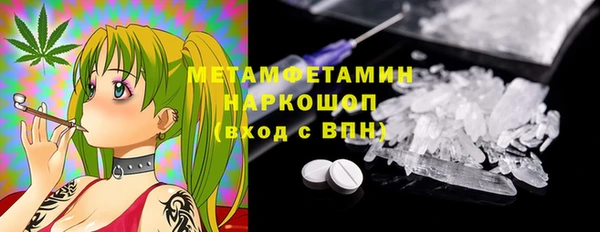 хмурый Лиски