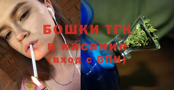 хмурый Лиски