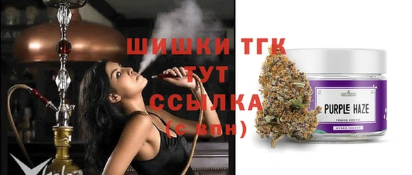 хмурый Лиски