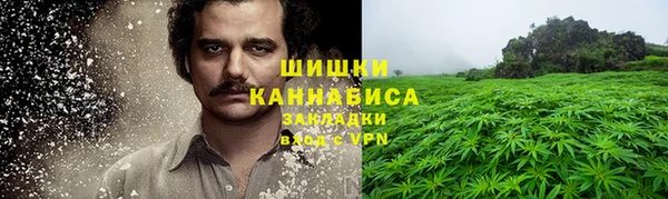 молекула духа Лихославль