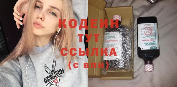хмурый Лиски