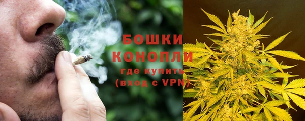 молекула духа Липки